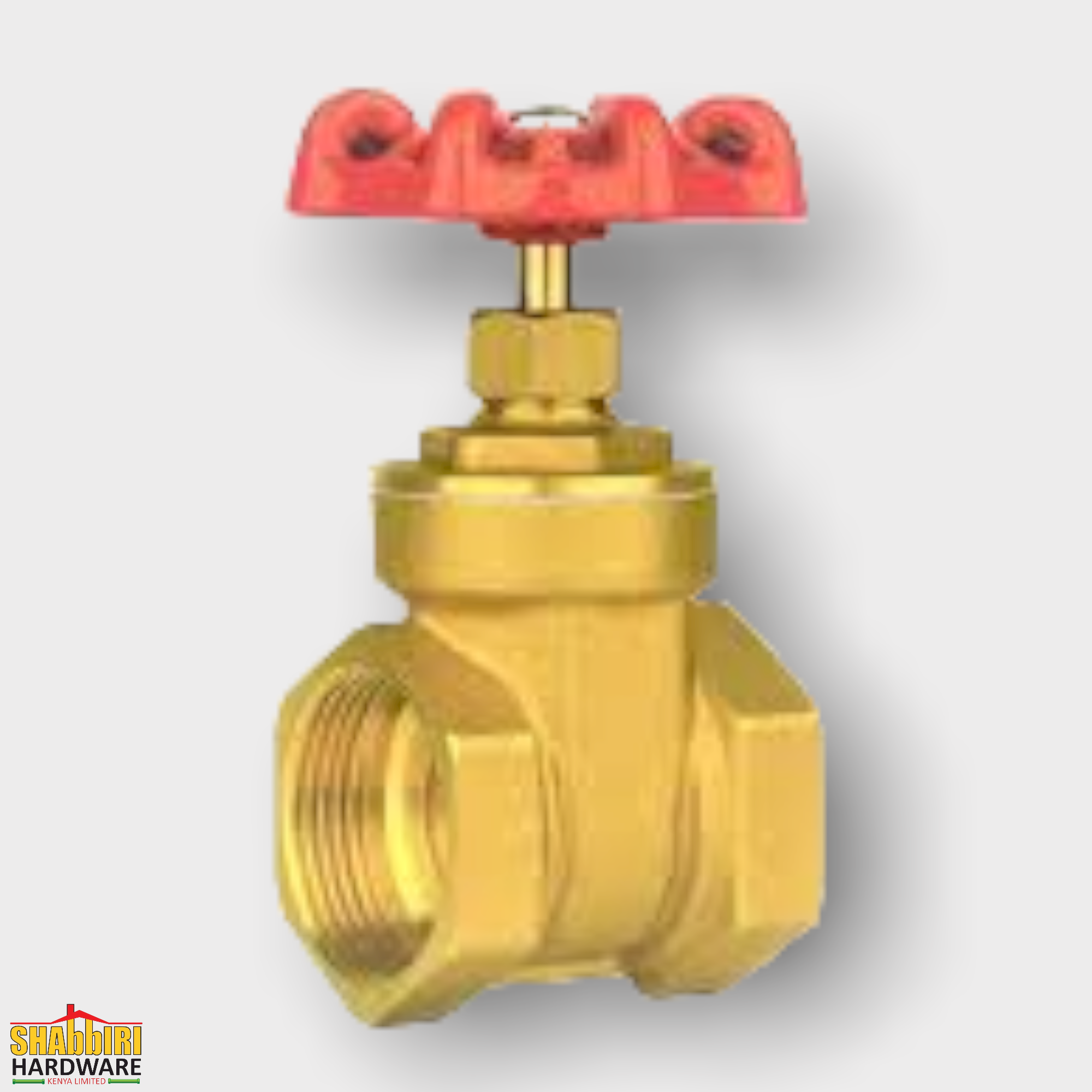 VARTE GATE VALVE 1 1/4"